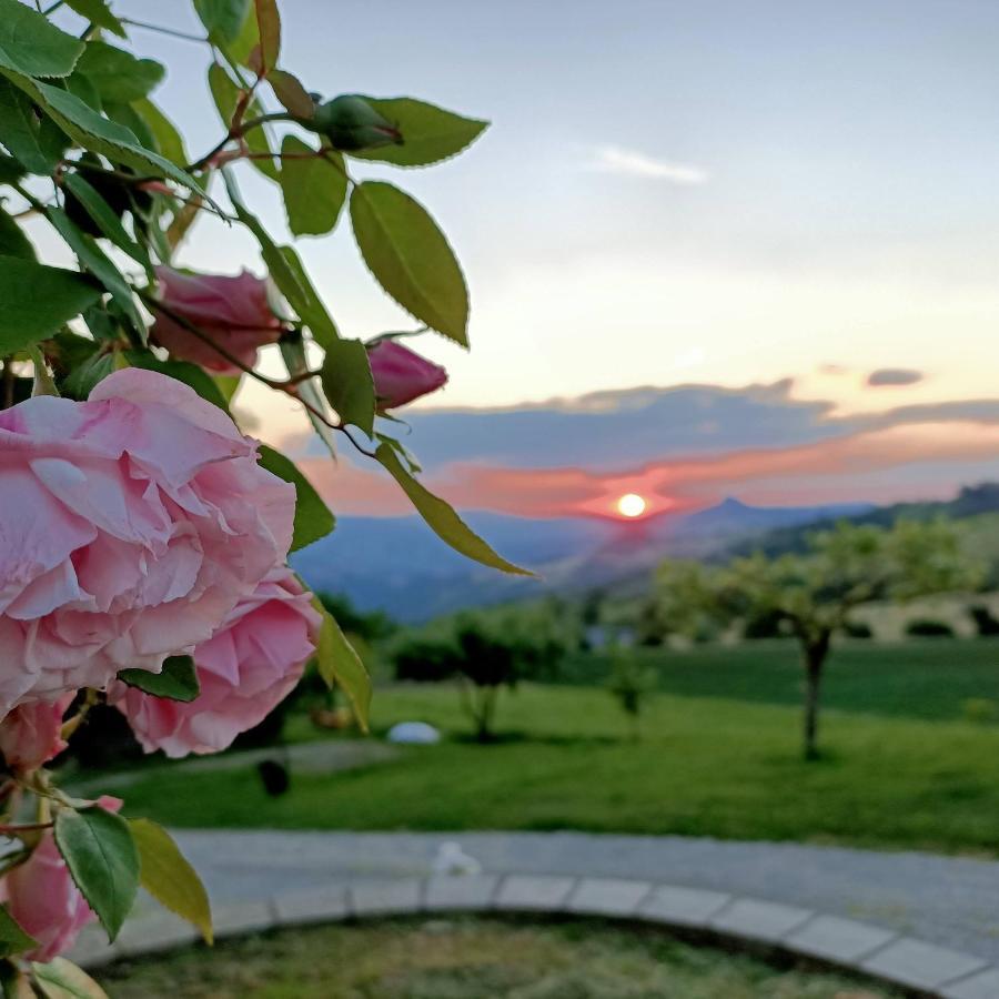 Agriturismo La Casetta - Ospitalita Rurale Familiare Montese Exterior foto