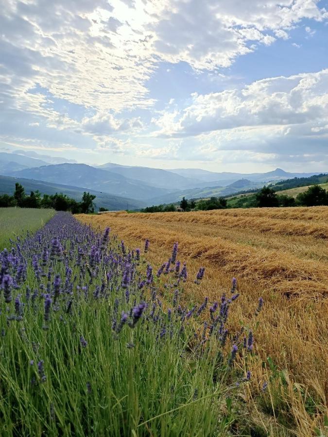 Agriturismo La Casetta - Ospitalita Rurale Familiare Montese Exterior foto